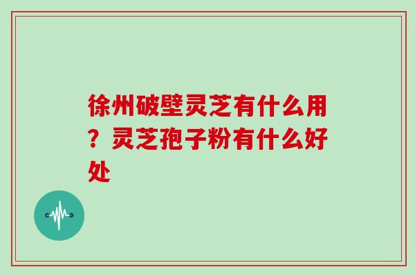 徐州破壁灵芝有什么用?灵芝孢子粉有什么好处