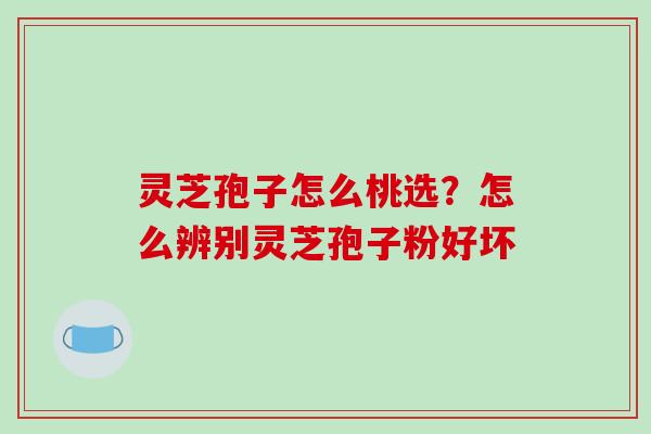 灵芝孢子怎么桃选?怎么辨别灵芝孢子粉好坏