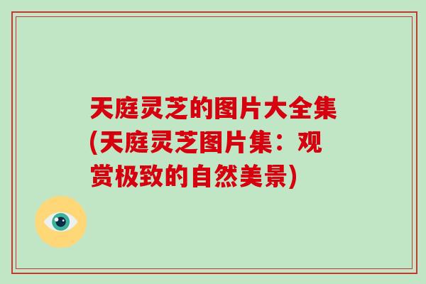 天庭灵芝的图片大全集(天庭灵芝图片集：观赏极致的自然美景)
