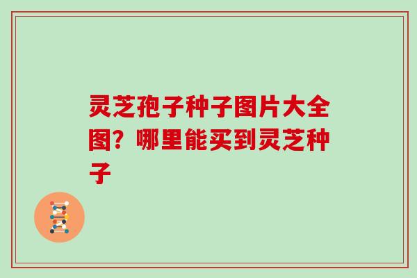 灵芝孢子种子图片大全图？哪里能买到灵芝种子