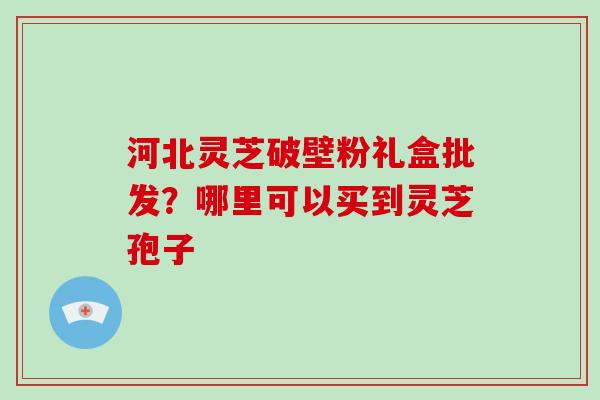 河北灵芝破壁粉礼盒批发?哪里可以买到灵芝孢子