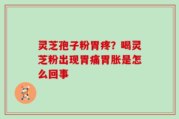 灵芝孢子粉胃疼？喝灵芝粉出现胃痛胃胀是怎么回事