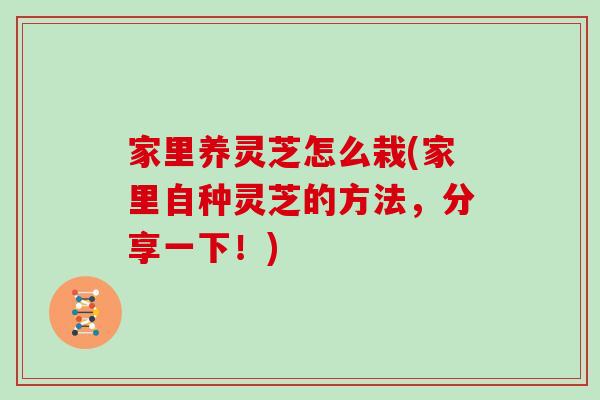 家里养灵芝怎么栽(家里自种灵芝的方法,分享一下!)