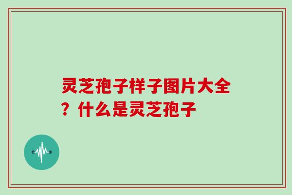 灵芝孢子样子图片大全?什么是灵芝孢子