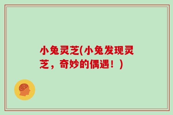 小兔灵芝(小兔发现灵芝,奇妙的偶遇!)