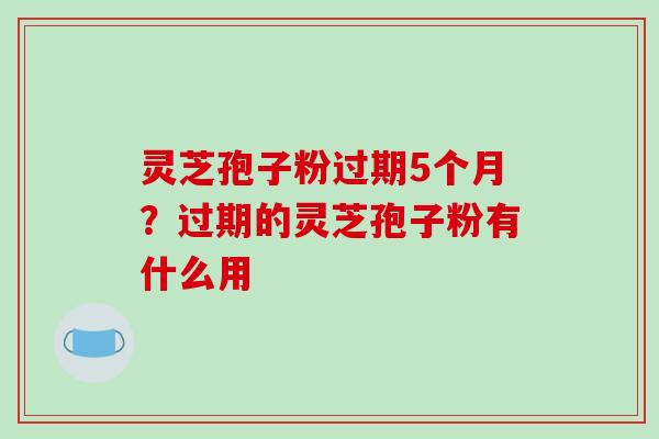 灵芝孢子粉过期5个月?过期的灵芝孢子粉有什么用