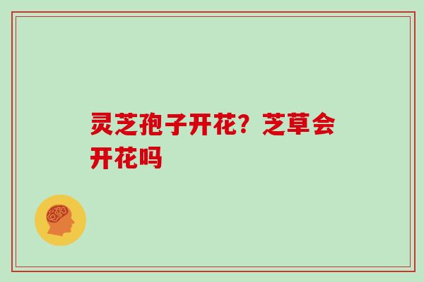灵芝孢子开花?芝草会开花吗
