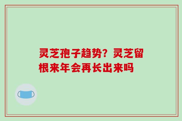 灵芝孢子趋势?灵芝留根来年会再长出来吗