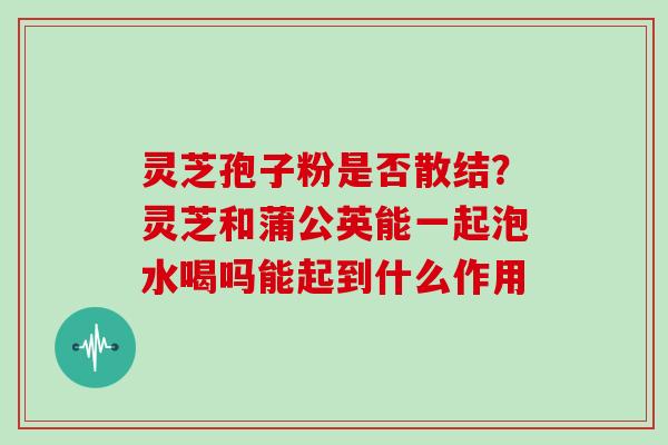 灵芝孢子粉是否散结?灵芝和蒲公英能一起泡水喝吗能起到什么作用