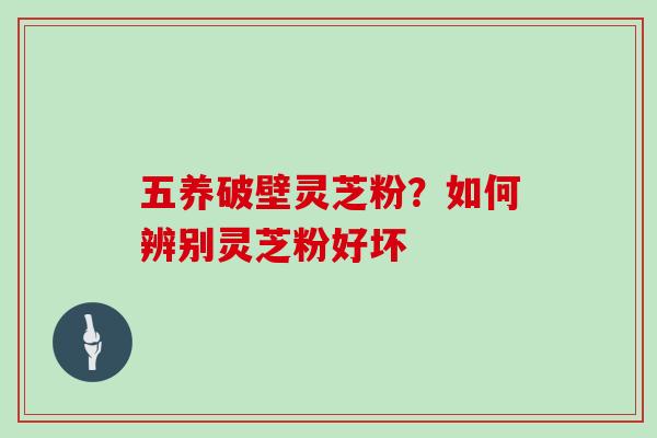 五养破壁灵芝粉？如何辨别灵芝粉好坏