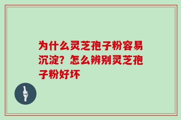 为什么灵芝孢子粉容易沉淀？怎么辨别灵芝孢子粉好坏