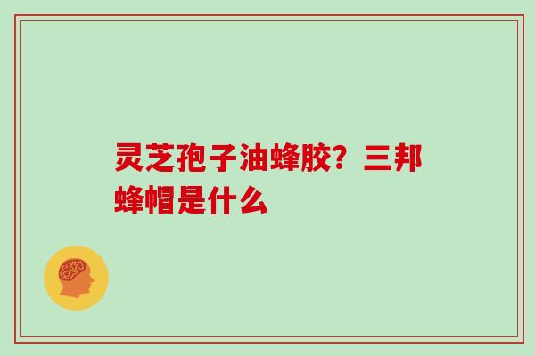 灵芝孢子油蜂胶？三邦蜂帽是什么
