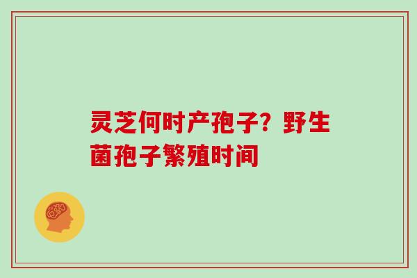 灵芝何时产孢子?野生菌孢子繁殖时间