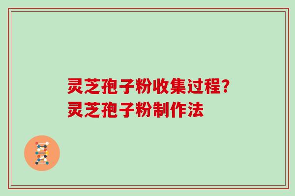 灵芝孢子粉收集过程?灵芝孢子粉制作法