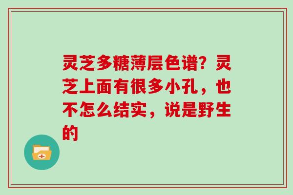 灵芝多糖薄层色谱？灵芝上面有很多小孔，也不怎么结实，说是野生的