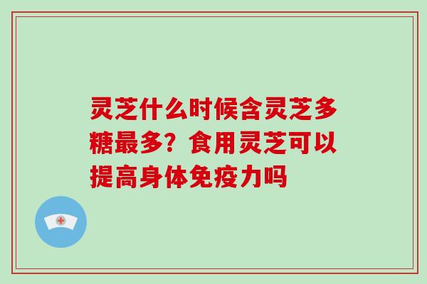 灵芝什么时候含灵芝多糖最多？食用灵芝可以提高身体免疫力吗