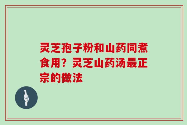 灵芝孢子粉和山药同煮食用?灵芝山药汤最正宗的做法