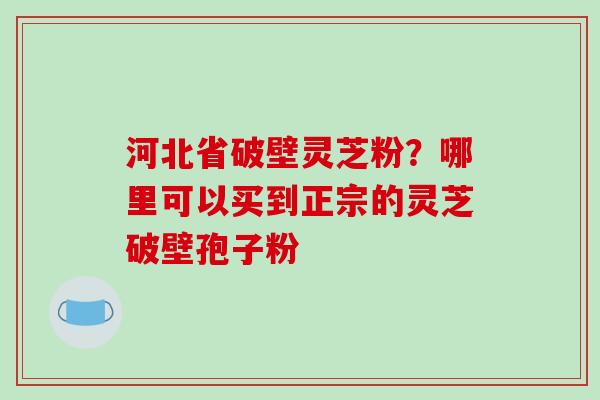 河北省破壁灵芝粉？哪里可以买到正宗的灵芝破壁孢子粉