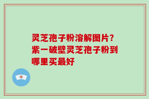 灵芝孢子粉溶解图片?紫一破壁灵芝孢子粉到哪里买最好
