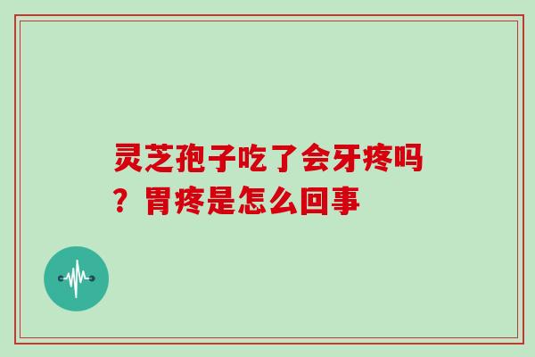 灵芝孢子吃了会牙疼吗?胃疼是怎么回事