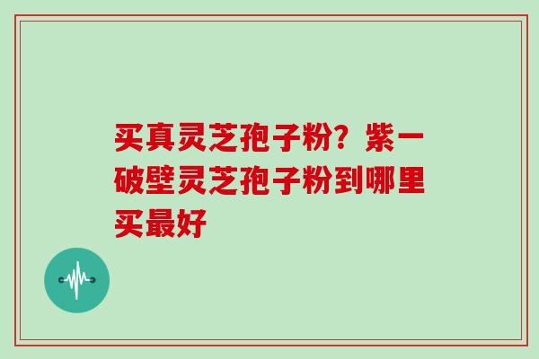 买真灵芝孢子粉？紫一破壁灵芝孢子粉到哪里买最好