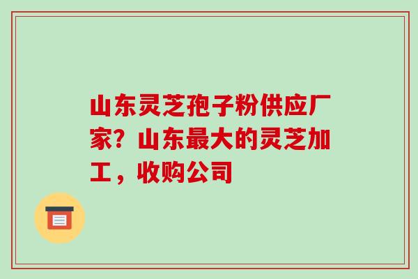 山东灵芝孢子粉供应厂家?山东最大的灵芝加工,收购公司