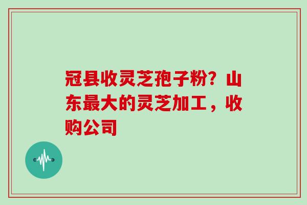 冠县收灵芝孢子粉？山东最大的灵芝加工，收购公司