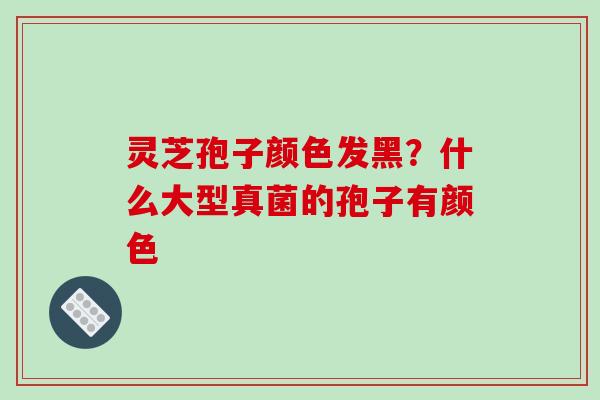 灵芝孢子颜色发黑?什么大型真菌的孢子有颜色