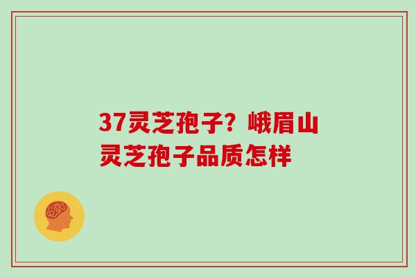 37灵芝孢子?峨眉山灵芝孢子品质怎样