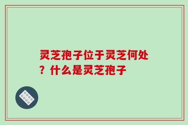 灵芝孢子位于灵芝何处？什么是灵芝孢子