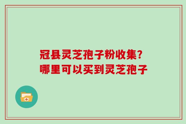 冠县灵芝孢子粉收集?哪里可以买到灵芝孢子