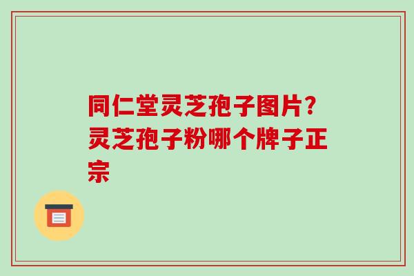 同仁堂灵芝孢子图片?灵芝孢子粉哪个牌子正宗