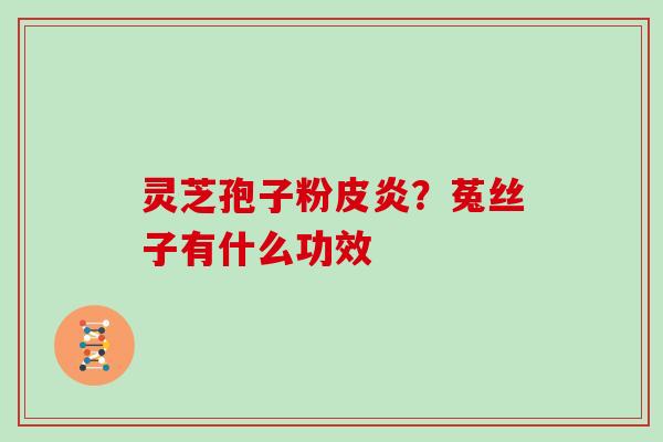 灵芝孢子粉皮炎？菟丝子有什么功效