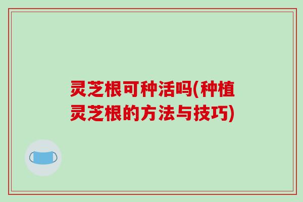 灵芝根可种活吗(种植灵芝根的方法与技巧)