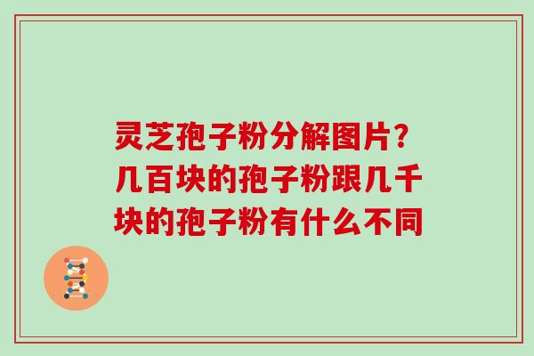 灵芝孢子粉分解图片？几百块的孢子粉跟几千块的孢子粉有什么不同