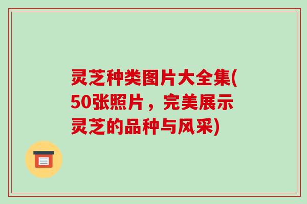灵芝种类图片大全集(50张照片，完美展示灵芝的品种与风采)