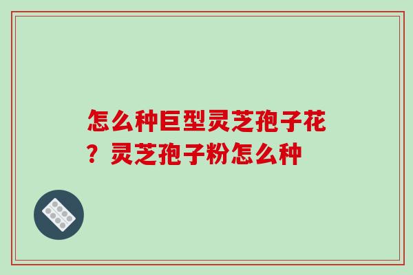 怎么种巨型灵芝孢子花？灵芝孢子粉怎么种