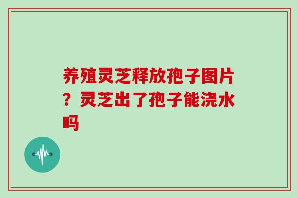 养殖灵芝释放孢子图片？灵芝出了孢子能浇水吗