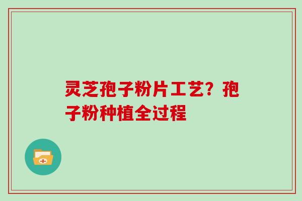 灵芝孢子粉片工艺?孢子粉种植全过程