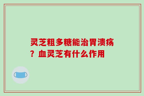 灵芝粗多糖能治胃溃疡?血灵芝有什么作用