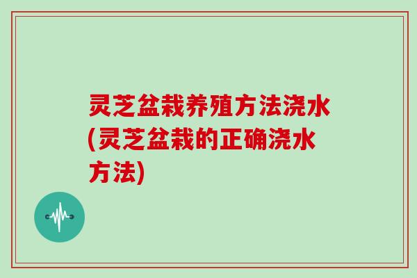灵芝盆栽养殖方法浇水(灵芝盆栽的正确浇水方法)