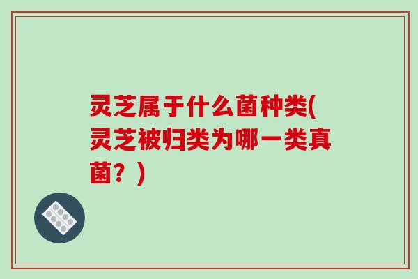 灵芝属于什么菌种类(灵芝被归类为哪一类真菌?)