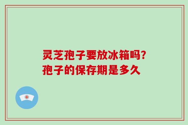 灵芝孢子要放冰箱吗?孢子的保存期是多久