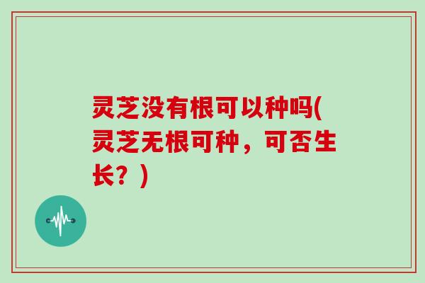 灵芝没有根可以种吗(灵芝无根可种，可否生长？)