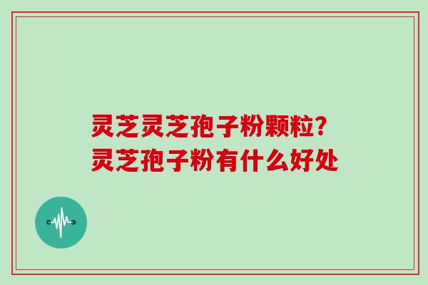 灵芝灵芝孢子粉颗粒?灵芝孢子粉有什么好处