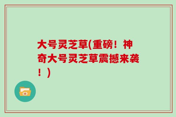 大号灵芝草(重磅!神奇大号灵芝草震撼来袭!)