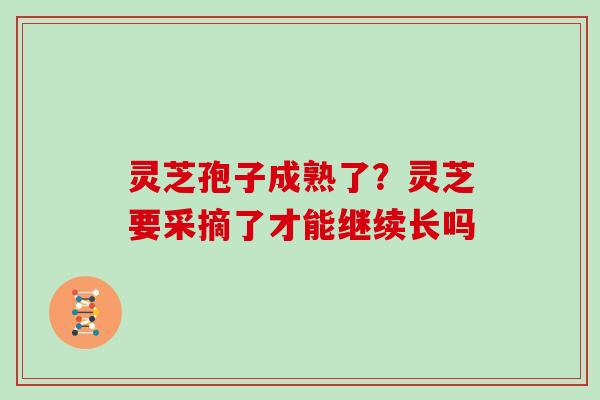 灵芝孢子成熟了?灵芝要采摘了才能继续长吗