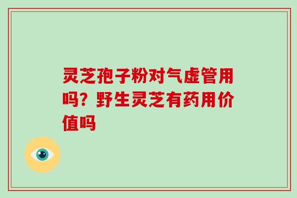 灵芝孢子粉对气虚管用吗?野生灵芝有药用价值吗