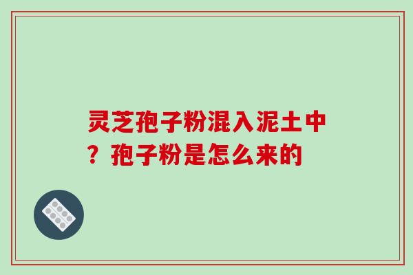 灵芝孢子粉混入泥土中?孢子粉是怎么来的