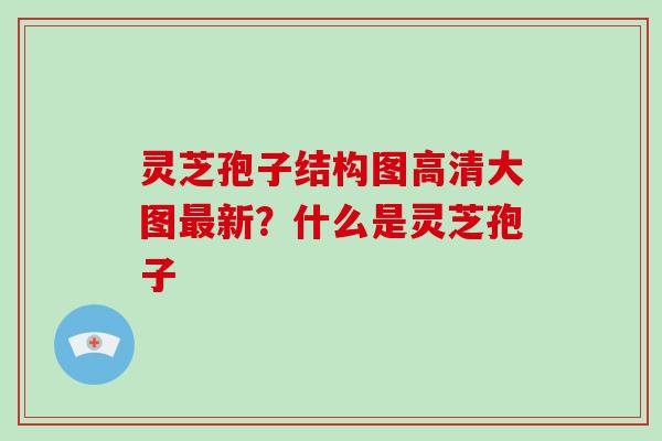 灵芝孢子结构图高清大图最新?什么是灵芝孢子